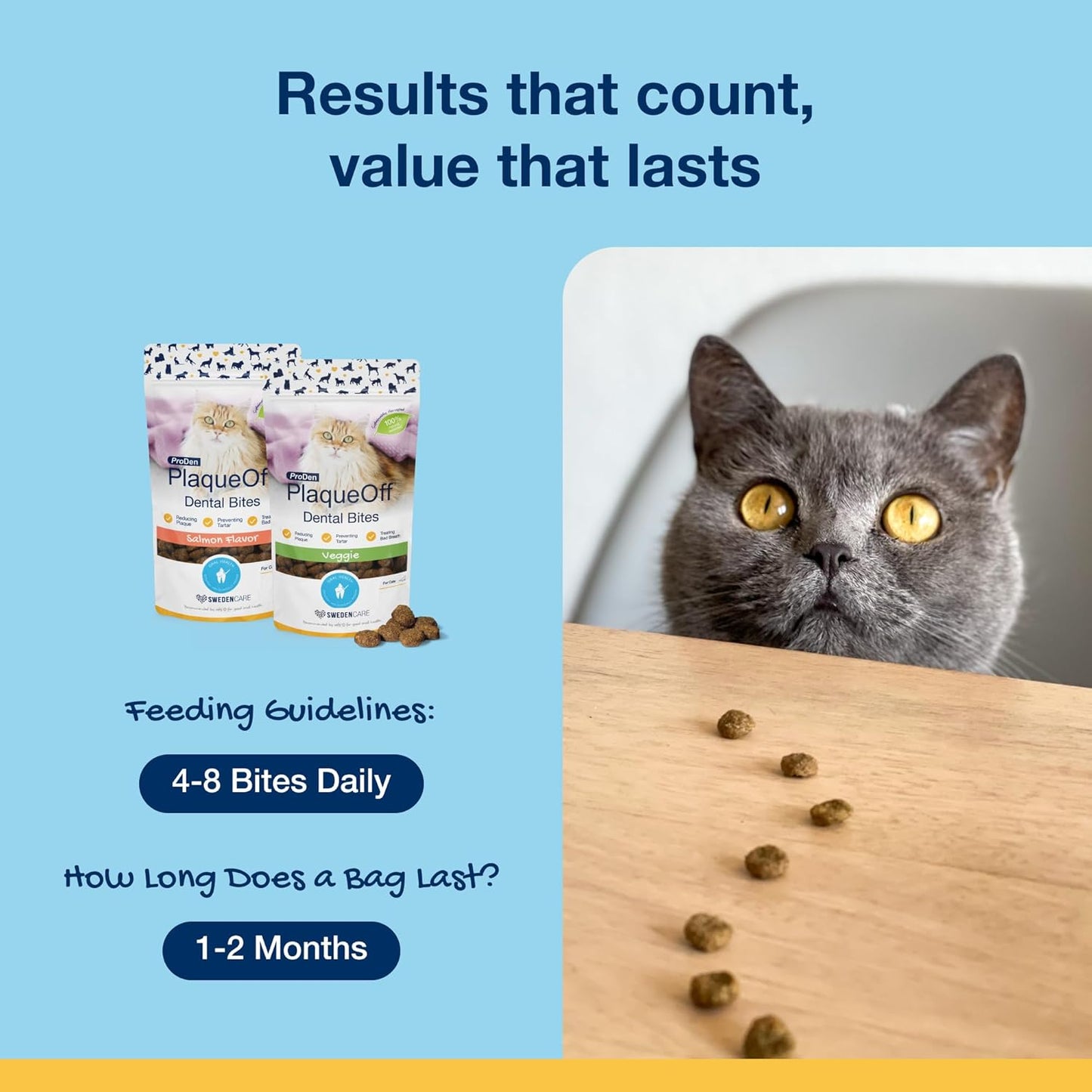 ProDen PlaqueOff Dental Bites Cat 60 g For Cats Bad Breath, Plaque, Tartar Brown (Bundle - Cat Bites & Powder)