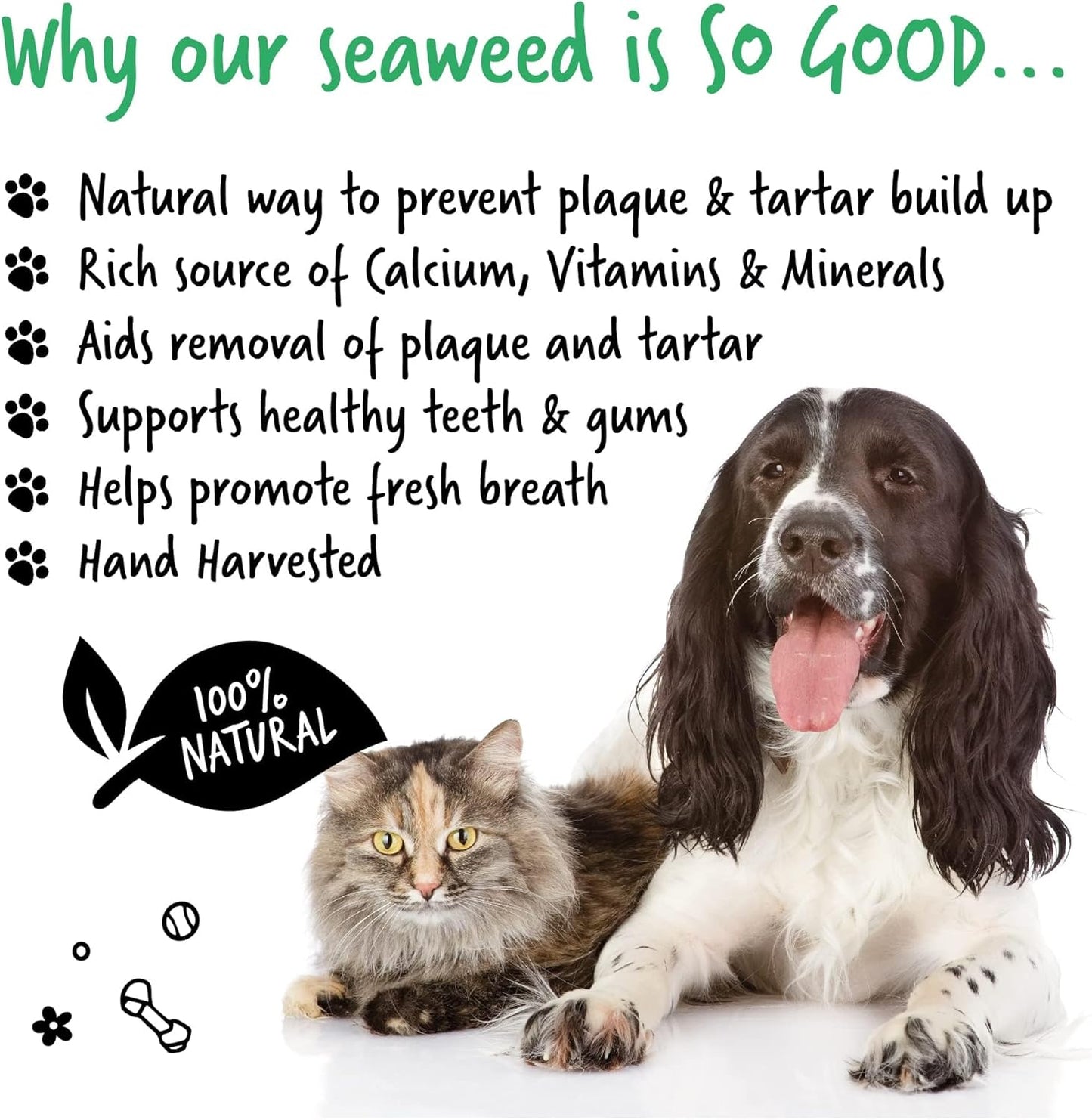 BUGALUGS Plaque Off Remover for Dog 70g Teeth & Bad Breath 100% Natural | Plaque Off Dogs No Need for Dog Toothbrush or Dog Toothpaste | Remove Dog Bad Breath & Plaque Remover for Dogs & Cats (70g)