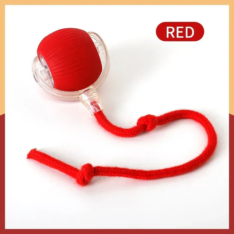 Keep Cats Active Smart Rolling Toy