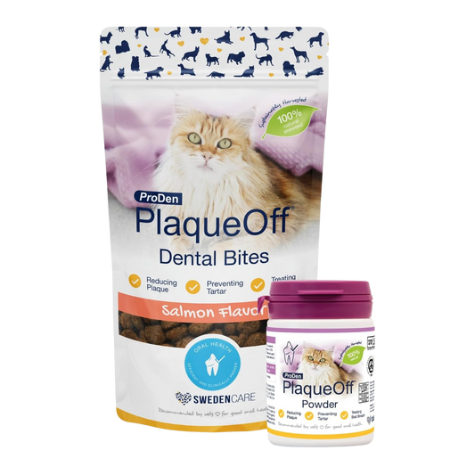 ProDen PlaqueOff Dental Bites Cat 60 g For Cats Bad Breath, Plaque, Tartar Brown (Bundle - Cat Bites & Powder)
