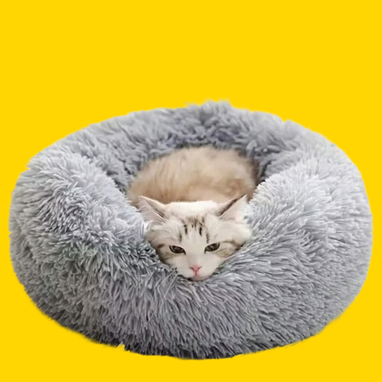 Pet Beds & Comfort