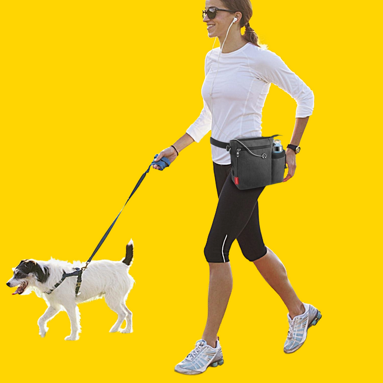Pet Walking & Outdoor Products