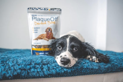 ProDen PlaqueOff Dental Bites for Dogs Tartar & Bad Breath Remover 100% Natural Teeth Cleaner and Tartar Remover - Improve Overall Oral Health - 150g