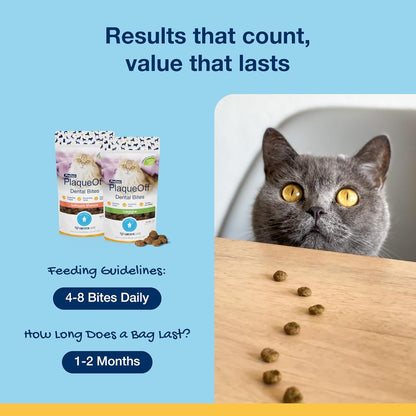 ProDen PlaqueOff Dental Bites for Cats Tartar & Bad Breath Remover 100% Natural Teeth Cleaner and - Improve Overall Oral Health - Salmon Flavor 60g