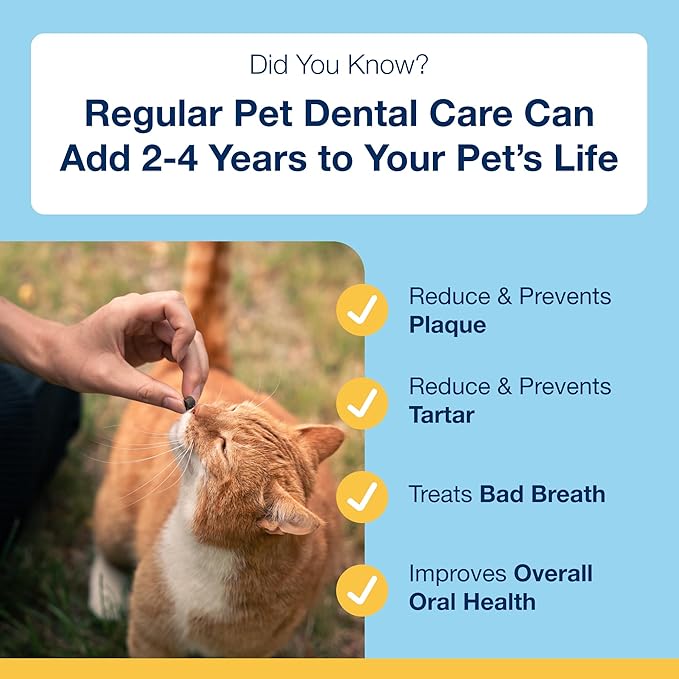 ProDen PlaqueOff Dental Bites for Cats Tartar & Bad Breath Remover 100% Natural Teeth Cleaner - Improve Overall Oral Health - Veggie Flavor 60g