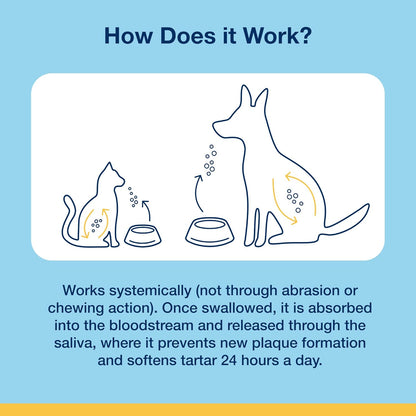 ProDen PlaqueOff 40g Powder for Cats, 100% Natural Tooth Care Powder, Protects Against Bad Breath, Helps with Tartar and Plaque