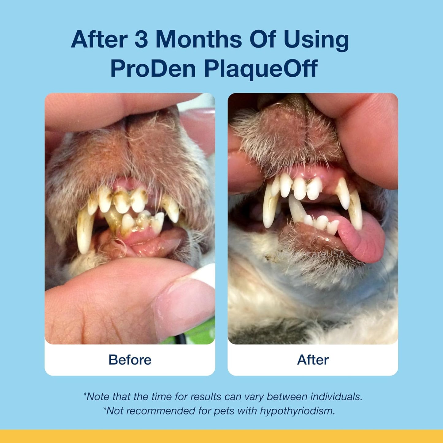 ProDen PlaqueOff Dental Bites for Cats Tartar & Bad Breath Remover 100% Natural Teeth Cleaner - Improve Overall Oral Health - Veggie Flavor 60g