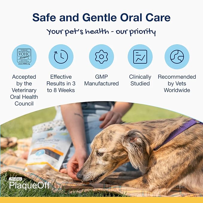 ProDen PlaqueOff 13 Dental Bones for Medium & Large Dogs, Tartar, Plaque & Bad Breath Remover, Improves Overall Oral Health Flavour(Chicken & Pumpkin)