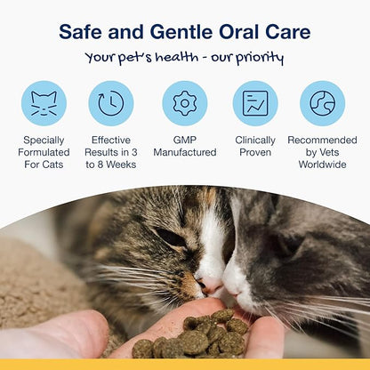 ProDen PlaqueOff Dental Bites for Cats Tartar & Bad Breath Remover 100% Natural Teeth Cleaner - Improve Overall Oral Health - Veggie Flavor 60g
