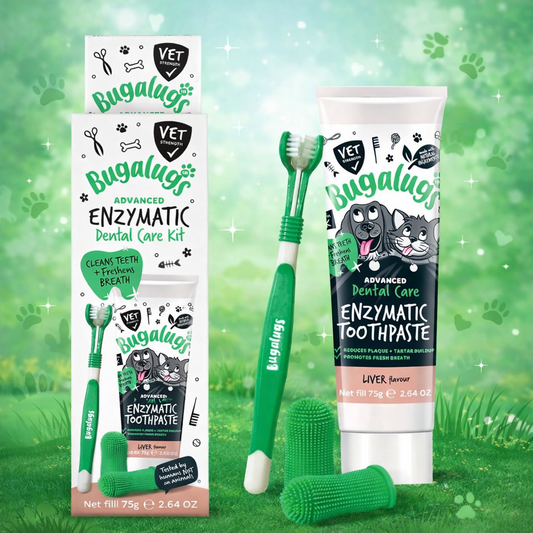 Bugalugs Dog and Cat Toothbrush and Paste Kit - Teeth Cleaning and Breath Freshener