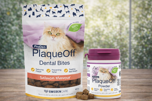 ProDen PlaqueOff Dental Bites Cat 60 g For Cats Bad Breath, Plaque, Tartar Brown (Bundle - Cat Bites & Powder)