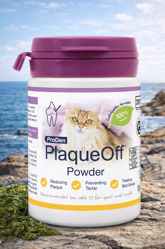 ProDen PlaqueOff 40g Powder for Cats, 100% Natural Tooth Care Powder, Protects Against Bad Breath, Helps with Tartar and Plaque
