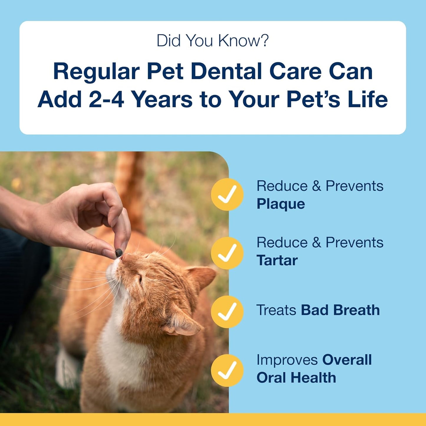 ProDen PlaqueOff Dental Bites Cat 60 g For Cats Bad Breath, Plaque, Tartar Brown (Bundle - Cat Bites & Powder)