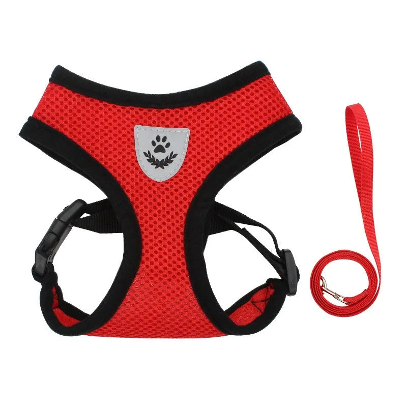 EscapeProof Cat Harness for Secure Outdoor Walks
