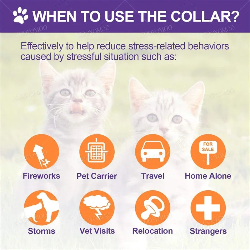 CalmPaws Anxiety Relief Collar for Dogs & Cats
