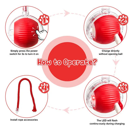 New Cat Interactive Ball Toy Automatic Rolling Ball Faux Tail Rechargeable Smart Pet Electric Toy Dog Cat Training Imitate Mouse