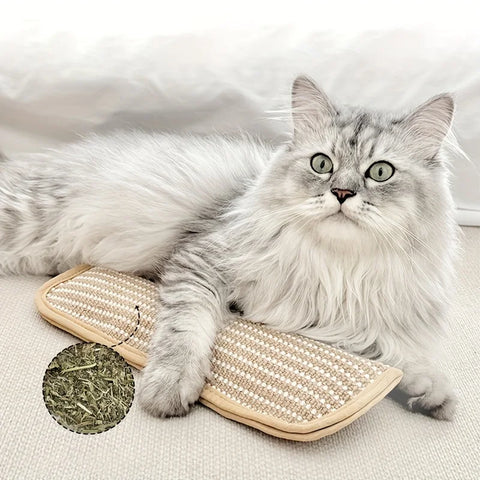 Cozy Teething Cat Bed Pillow with Scratch Resistant Cover