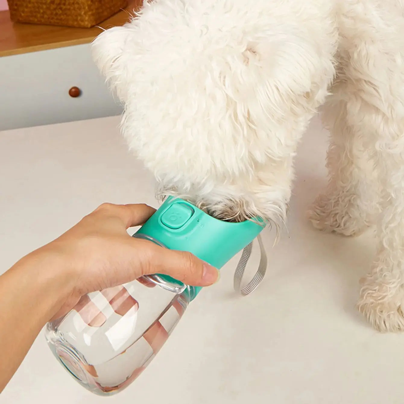 Leakproof Dog Water Bottle for Walks and Travel