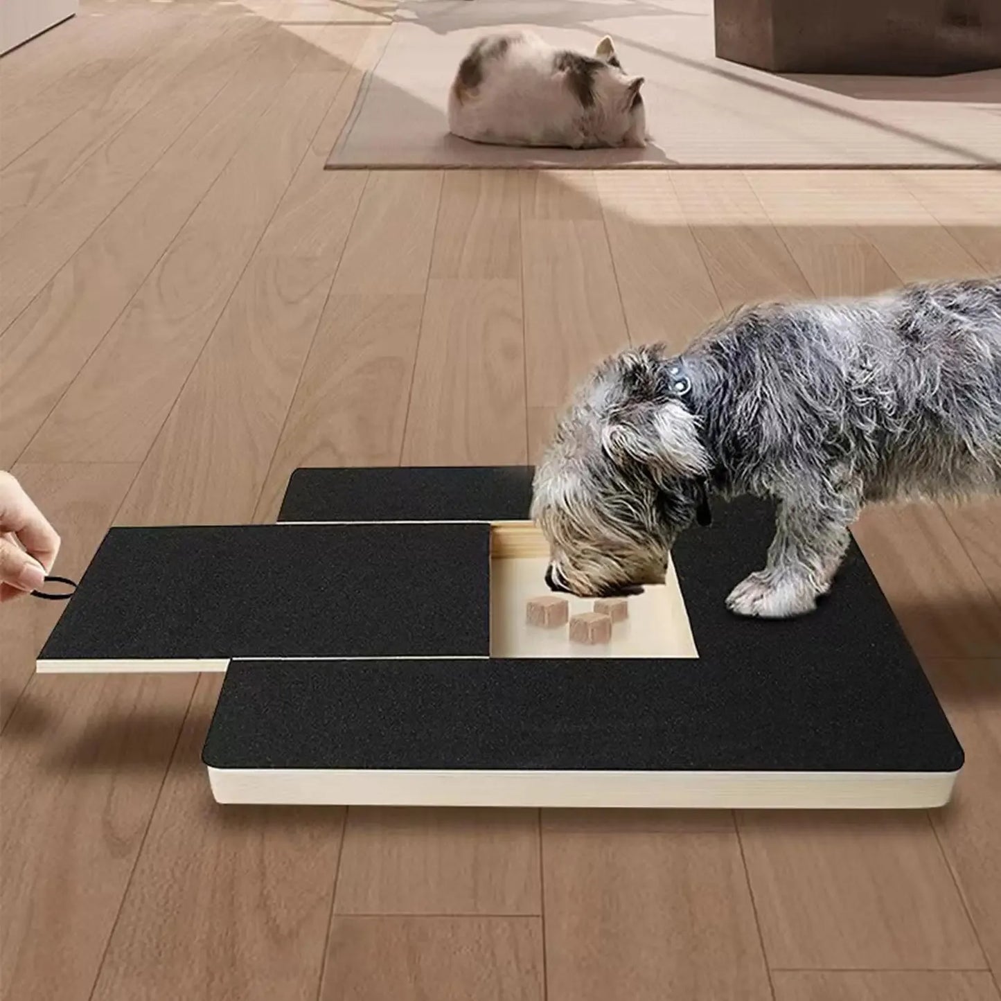 Wooden Dog Nail Scratch Board with Hidden Treat Box