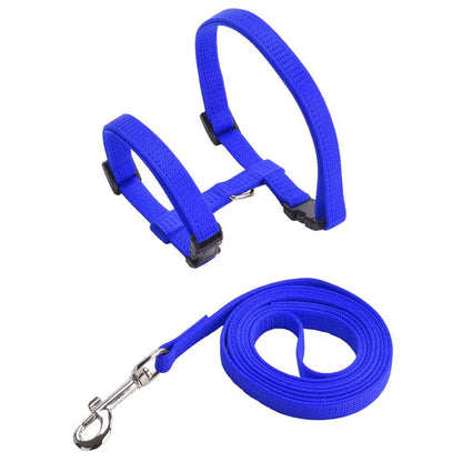 Comfortable Cat Harness and Leash for Adventures