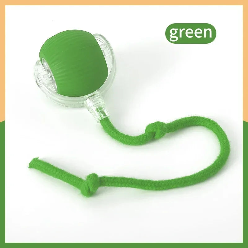 Keep Cats Active Smart Rolling Toy
