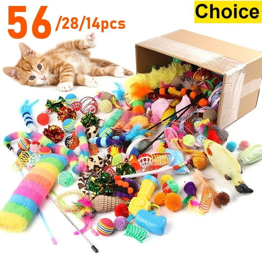 Multi Cat Toy Pack for Happy Playtime Adventures