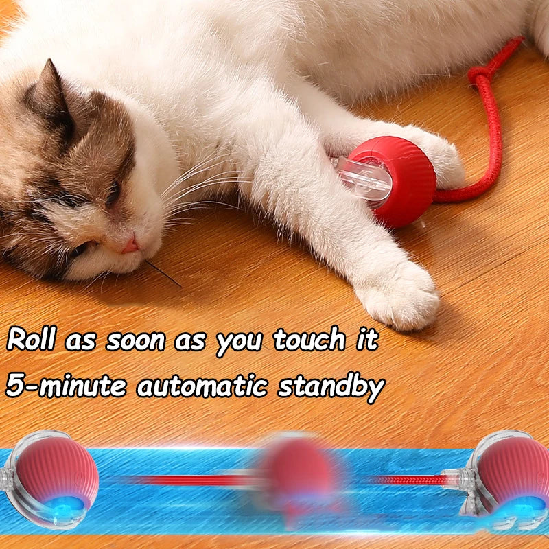 Keep Cats Active Smart Rolling Toy
