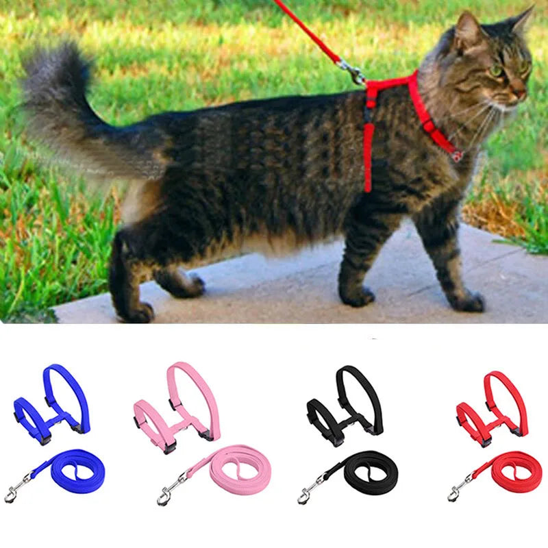 Comfortable Cat Harness and Leash for Adventures