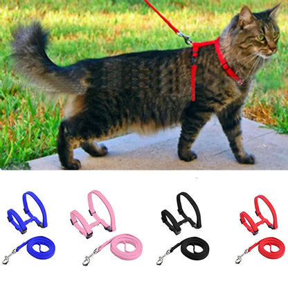 Comfortable Cat Harness and Leash for Adventures