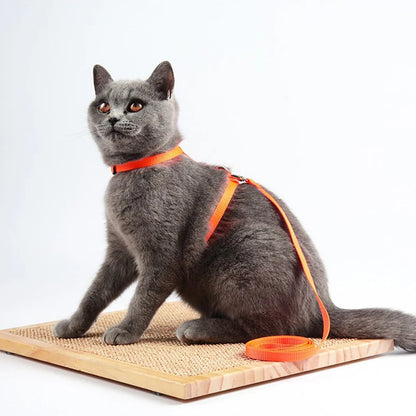 Comfortable Cat Harness and Leash for Adventures