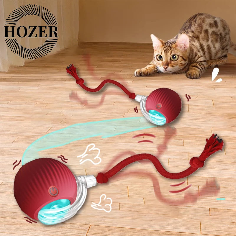 Keep Cats Active Smart Rolling Toy