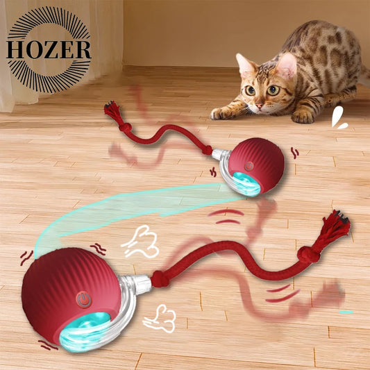 Keep Cats Active Smart Rolling Toy
