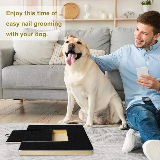 Wooden Dog Nail Scratch Board with Hidden Treat Box