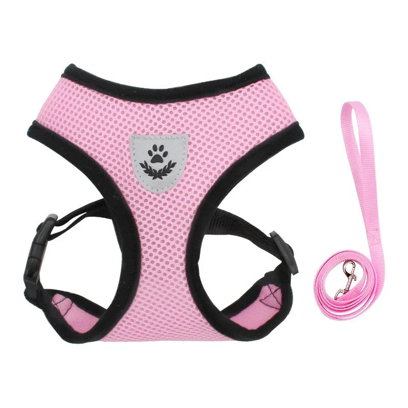 EscapeProof Cat Harness for Secure Outdoor Walks