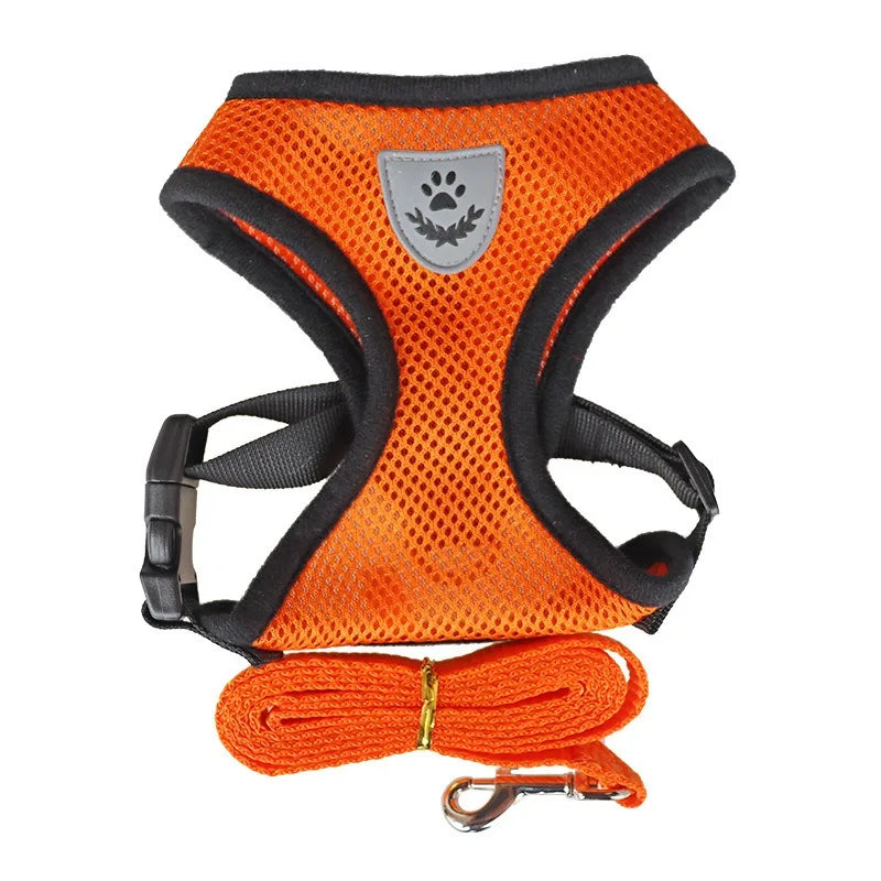 EscapeProof Cat Harness for Secure Outdoor Walks