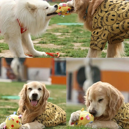 Dog Interactive Sound Ball Toy with Animal Patterns, Pet Ball Suitable, Outdoor Play and Training, Dog Toy with Lively Design