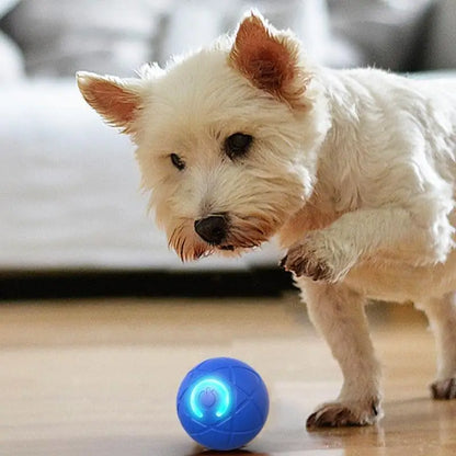 Rechargeable Interactively Rolling Balls For Pet That Automatically Moving And Changes Direction For Fun Exercise