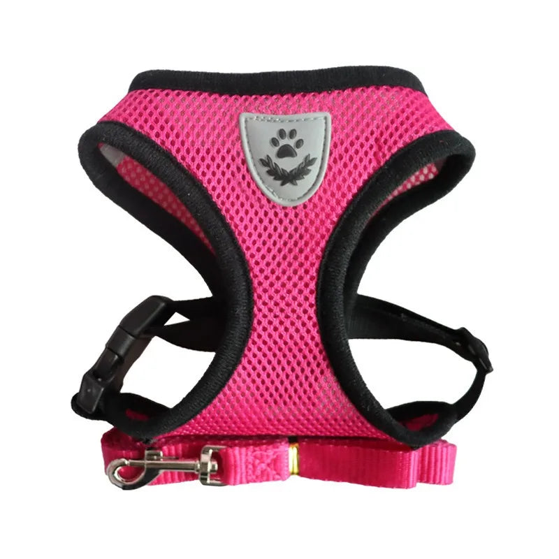 EscapeProof Cat Harness for Secure Outdoor Walks
