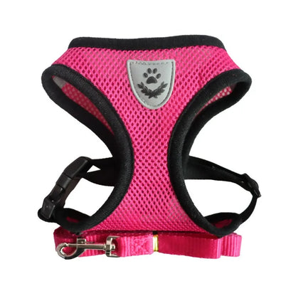 EscapeProof Cat Harness for Secure Outdoor Walks