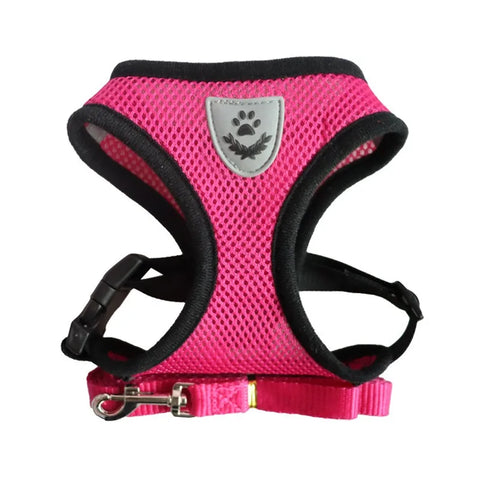 EscapeProof Cat Harness for Secure Outdoor Walks