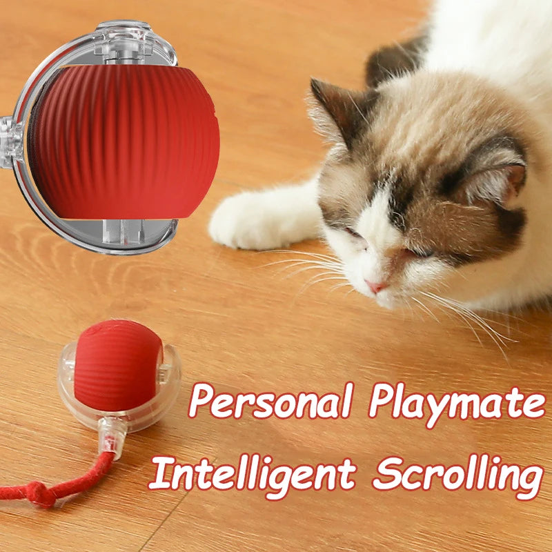 Keep Cats Active Smart Rolling Toy