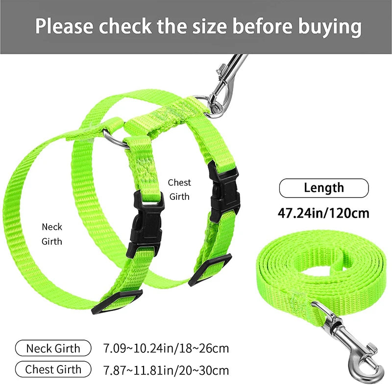 Comfortable Cat Harness and Leash for Adventures