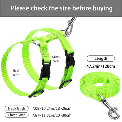 Comfortable Cat Harness and Leash for Adventures