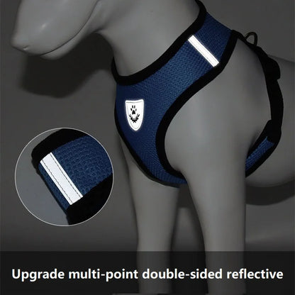 EscapeProof Cat Harness for Secure Outdoor Walks