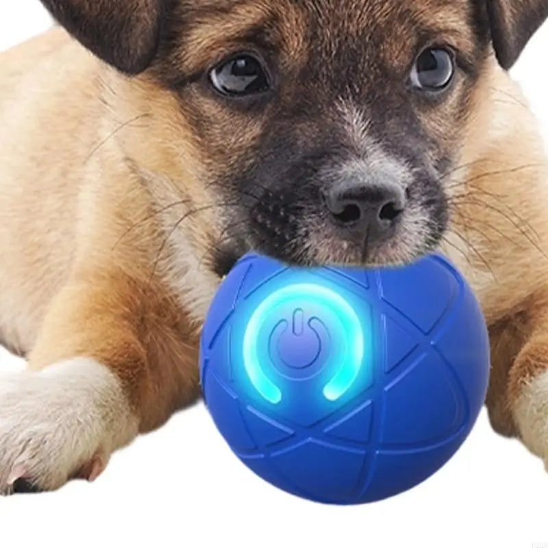 Rechargeable Interactively Rolling Balls For Pet That Automatically Moving And Changes Direction For Fun Exercise