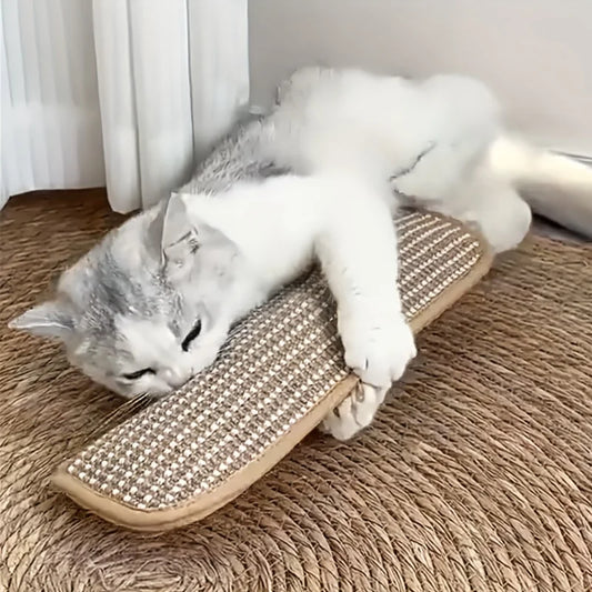 Cozy Teething Cat Bed Pillow with Scratch Resistant Cover