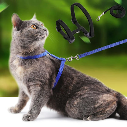 Comfortable Cat Harness and Leash for Adventures