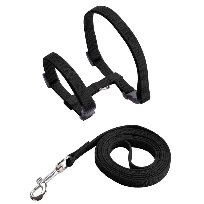 Comfortable Cat Harness and Leash for Adventures