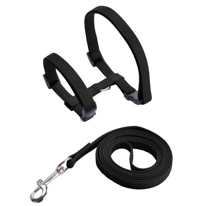 Comfortable Cat Harness and Leash for Adventures
