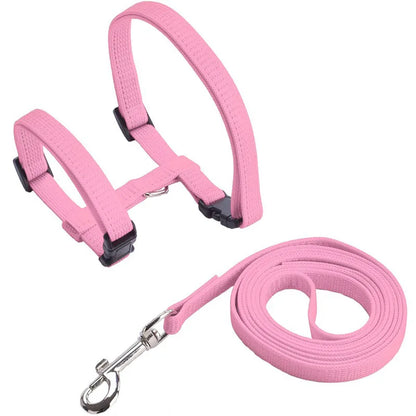 Comfortable Cat Harness and Leash for Adventures